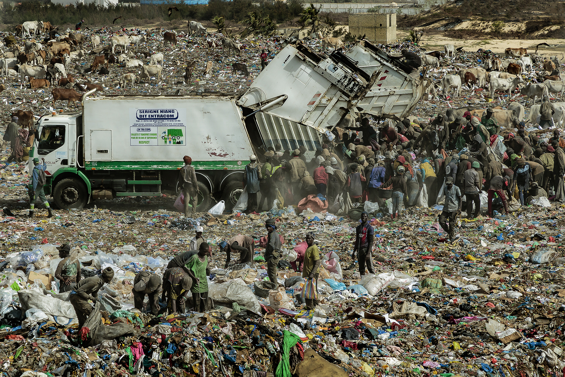Mbeubeuss: incubo ecologico, Stefano Pensotti